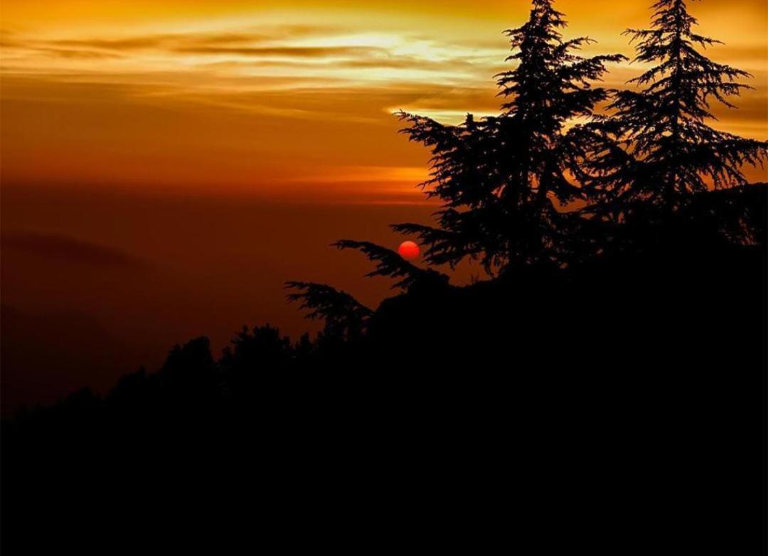 The Nature Dreams I Vacations I Conference I Mice I Family Events I Open Air Terrace I Sky Bonfire I Kufri By Exotic Stays Shimla Ngoại thất bức ảnh